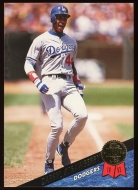 1993 Leaf #210 - Straw