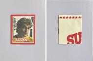 1982 SUOSIKKI STICKER WAYNE GRETZKY - FINNISH - PC - $100