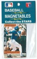 1989 Phoenix Magnet No Players - Paying