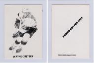 1993 TMGSB PROMOTIONS WAYNE GRETZKY - - PC - $50 - $55