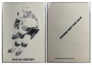 1993 TMGSB Promo Card Wayne Gretzky - WL