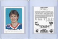1984-85 Red Rooster - Hockey Is A Team Sport - PC