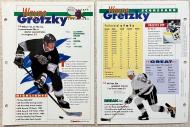 Misc: 1994 Sports Heroes Feats & Facts - All Sport Champ # 2 - PC
