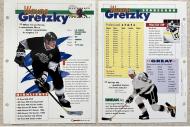 Misc: 1995 Sports Heroes Feats & Facts - All Sport Champ # 2 - PC