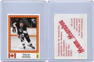 1991 SEMIC # 94 WAYNE GRETZKY - MARABOU BACK - PC