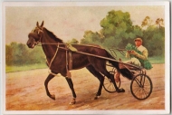 106 - Charlie Mills - Horse Racing