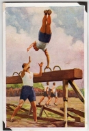040 - Pferd - Pommel Horse