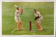 059 - Kricket Spiel - Cricket