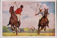 073 - Polo Spiel - Polo