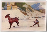 095 - Skijoring - Skiing