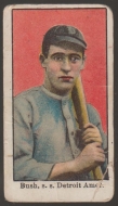 Bush - 1909-11